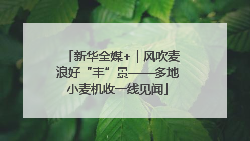 新华全媒+｜风吹麦浪好“丰”景——多地小麦机收一线见闻