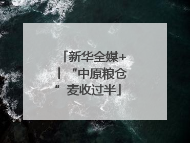 新华全媒+丨“中原粮仓”麦收过半