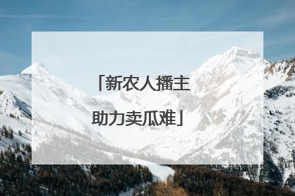 新农人播主 助力卖瓜难