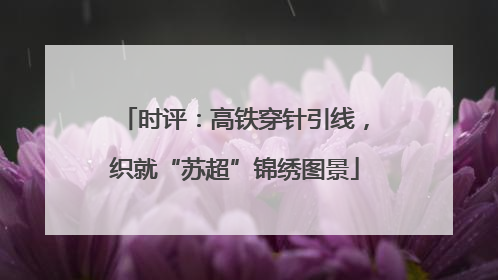 时评：高铁穿针引线，织就“苏超”锦绣图景