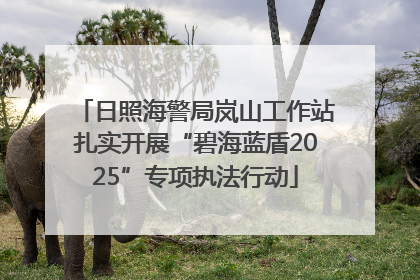 日照海警局岚山工作站扎实开展“碧海蓝盾2025”专项执法行动