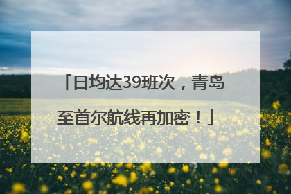 日均达39班次，青岛至首尔航线再加密！