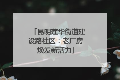 昆明莲华街道建设路社区：老厂房焕发新活力