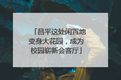 昌平这处闲置地变身大花园，成为校园崭新会客厅
