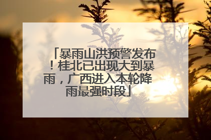 暴雨山洪预警发布！桂北已出现大到暴雨，广西进入本轮降雨最强时段