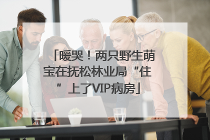 暖哭！两只野生萌宝在抚松林业局“住”上了VIP病房
