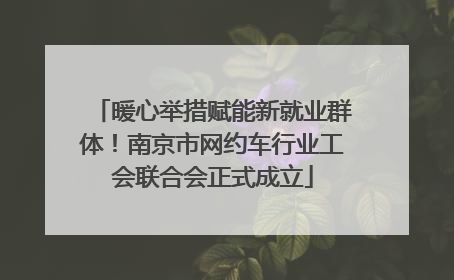 暖心举措赋能新就业群体！南京市网约车行业工会联合会正式成立