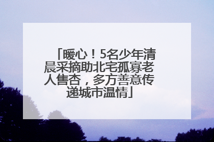 暖心！5名少年清晨采摘助北宅孤寡老人售杏，多方善意传递城市温情