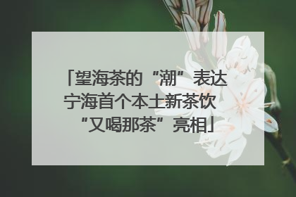 望海茶的“潮”表达 宁海首个本土新茶饮“又喝那茶”亮相
