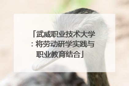 武威职业技术大学：将劳动研学实践与职业教育结合