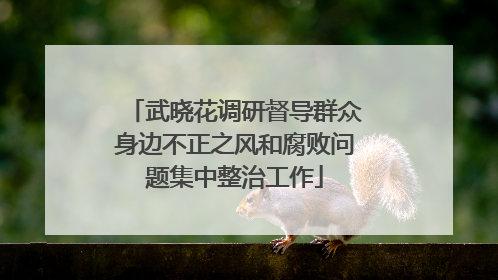 武晓花调研督导群众身边不正之风和腐败问题集中整治工作