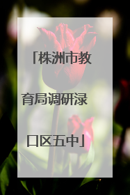 株洲市教育局调研渌口区五中