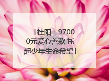 桂阳：97000元爱心善款 托起少年生命希望