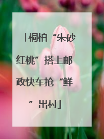 桐柏“朱砂红桃”搭上邮政快车抢“鲜”出村