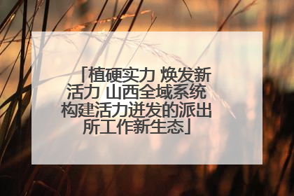 植硬实力 焕发新活力 山西全域系统构建活力迸发的派出所工作新生态