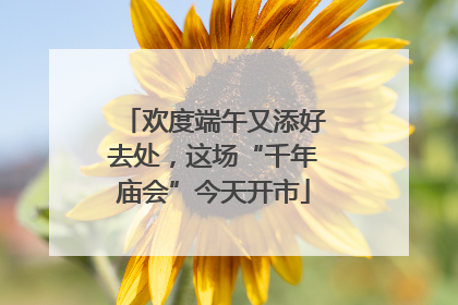 欢度端午又添好去处，这场“千年庙会”今天开市