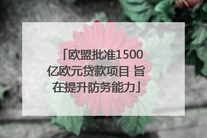 欧盟批准1500亿欧元贷款项目 旨在提升防务能力