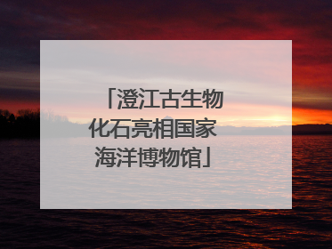澄江古生物化石亮相国家海洋博物馆
