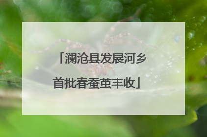 澜沧县发展河乡首批春蚕茧丰收