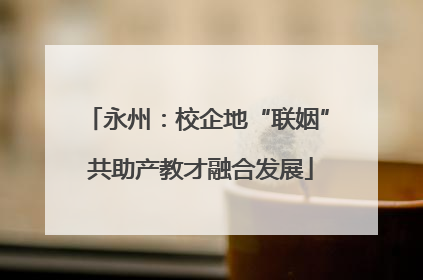 永州：校企地“联姻” 共助产教才融合发展
