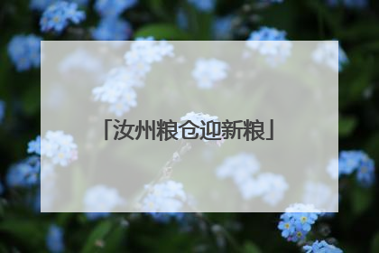 汝州粮仓迎新粮