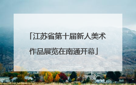 江苏省第十届新人美术作品展览在南通开幕