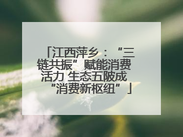 江西萍乡：“三链共振”赋能消费活力 生态五陂成“消费新枢纽”