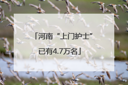 河南“上门护士”已有4.7万名