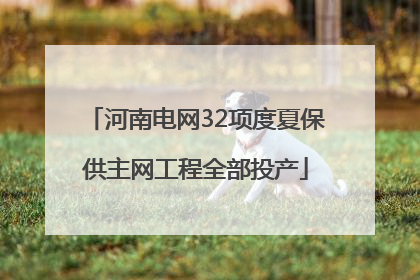 河南电网32项度夏保供主网工程全部投产