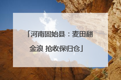 河南固始县：麦田翻金浪 抢收保归仓