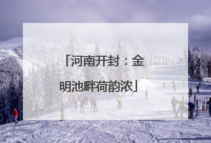 河南开封：金明池畔荷韵浓
