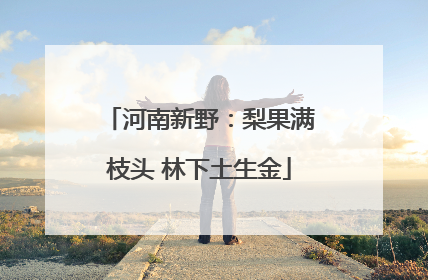 河南新野：梨果满枝头 林下土生金