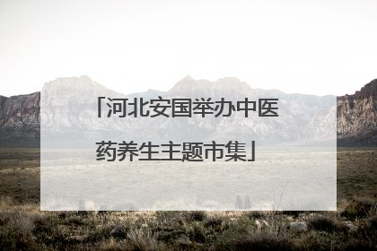 河北安国举办中医药养生主题市集