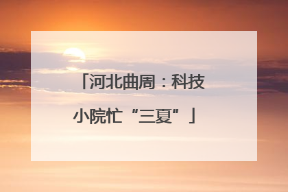 河北曲周：科技小院忙“三夏”