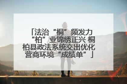 法治“桐”频发力 “柏”业锦绣正兴 桐柏县政法系统交出优化营商环境“成绩单”