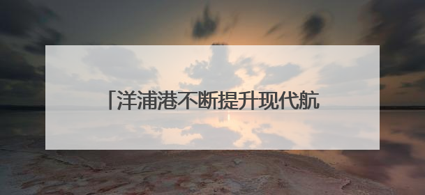 洋浦港不断提升现代航运服务能级 促进航运扩大开放政策快速落地