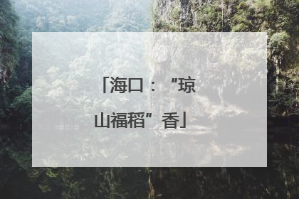 海口：“琼山福稻”香