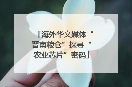 海外华文媒体“晋南粮仓”探寻“农业芯片”密码