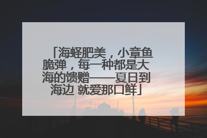 海蛏肥美，小章鱼脆弹，每一种都是大海的馈赠——夏日到海边 就爱那口鲜