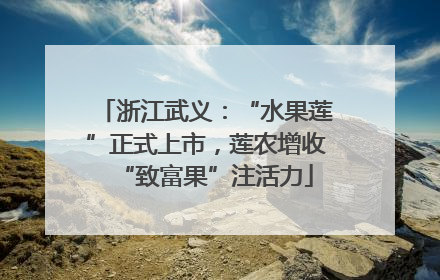 浙江武义：“水果莲”正式上市，莲农增收“致富果”注活力