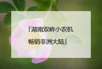 湖南双峰小农机畅销非洲大陆