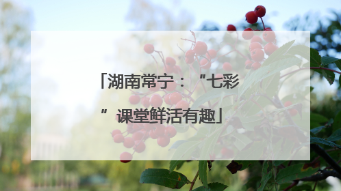 湖南常宁：“七彩”课堂鲜活有趣