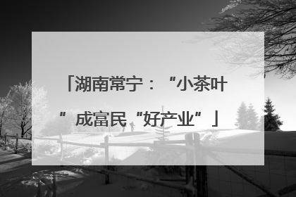 湖南常宁：“小茶叶”成富民“好产业”