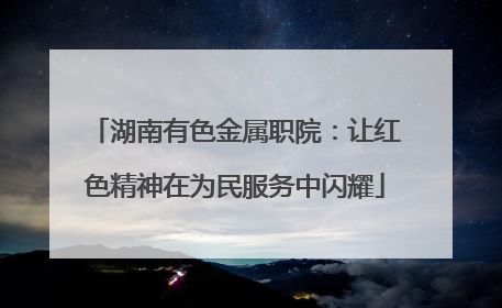湖南有色金属职院：让红色精神在为民服务中闪耀