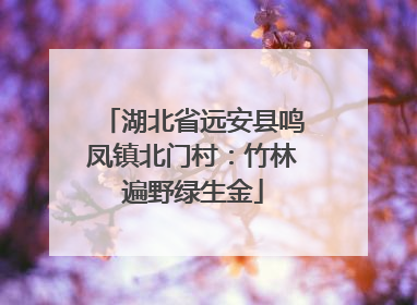 湖北省远安县鸣凤镇北门村：竹林遍野绿生金
