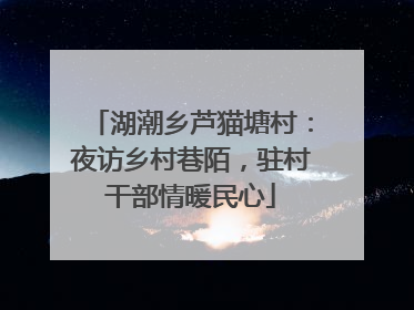 湖潮乡芦猫塘村：夜访乡村巷陌，驻村干部情暖民心