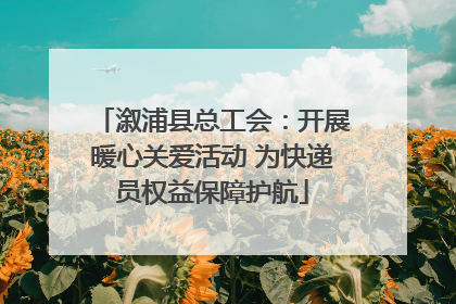 溆浦县总工会：开展暖心关爱活动 为快递员权益保障护航