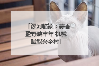 漯河临颍：蒜香盈野映丰年 机械赋能兴乡村