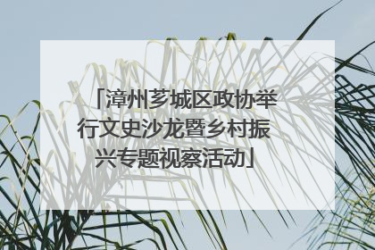 漳州芗城区政协举行文史沙龙暨乡村振兴专题视察活动