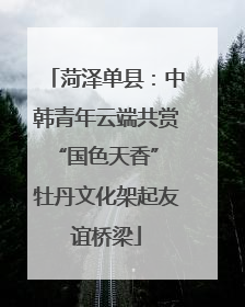 菏泽单县：中韩青年云端共赏“国色天香” 牡丹文化架起友谊桥梁